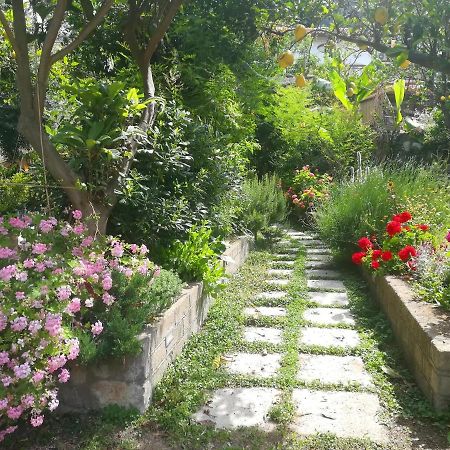 Bed and Breakfast Il vialetto dei limoni Vico Equense Esterno foto