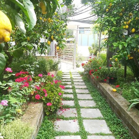 Bed and Breakfast Il vialetto dei limoni Vico Equense Esterno foto