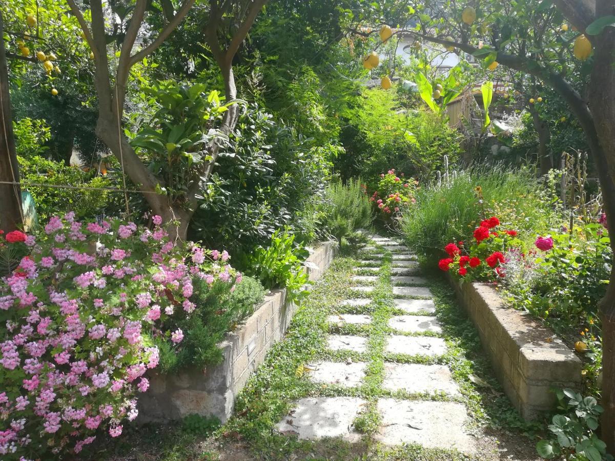 Bed and Breakfast Il vialetto dei limoni Vico Equense Esterno foto
