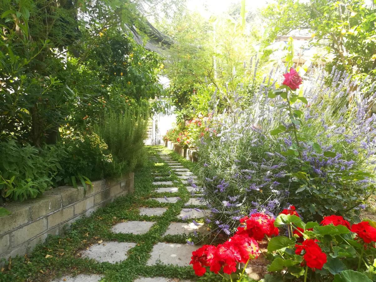 Bed and Breakfast Il vialetto dei limoni Vico Equense Esterno foto