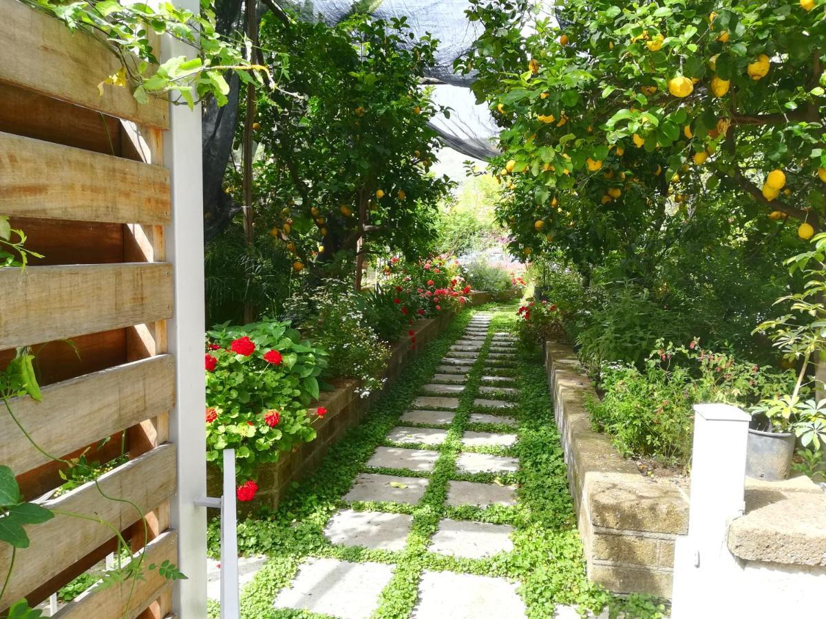 Bed and Breakfast Il vialetto dei limoni Vico Equense Esterno foto