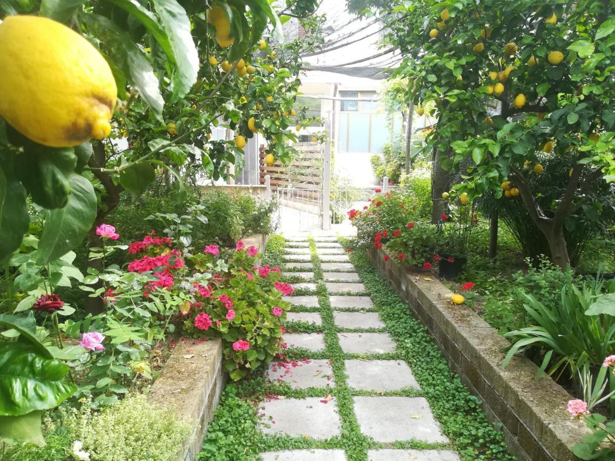 Bed and Breakfast Il vialetto dei limoni Vico Equense Esterno foto